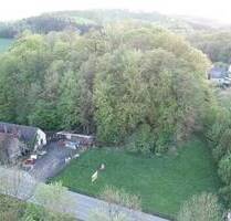 Grundstücke Grünflächen Wiesen mit Gebäude, ggfs. Entwicklungspotential, in Balve zu verkaufen