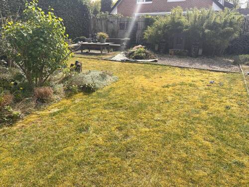 Garten - 