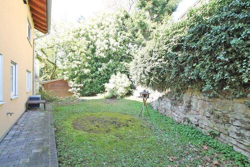 Gemeinschaftsgarten - 