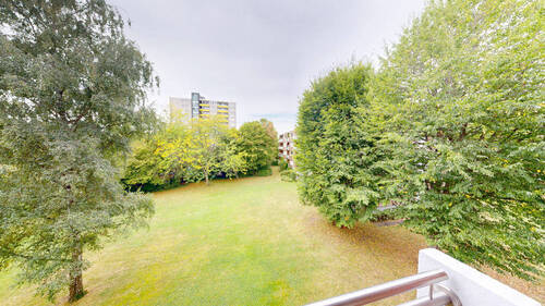 Bild5 - 