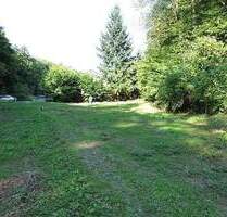 Waldesch, Bauland auf 2432m² Grundstück, gesamt 8326m², ruhig, Bach, Ortsrand, Wald, unverbaubar, ..