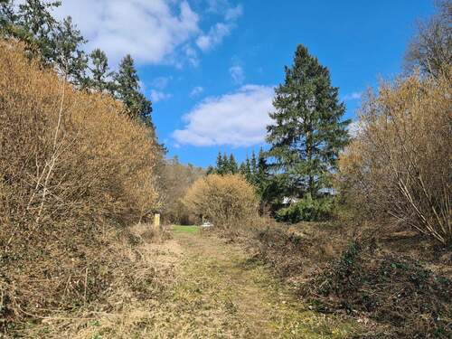 Ansicht Richtung Wiesengrund - 