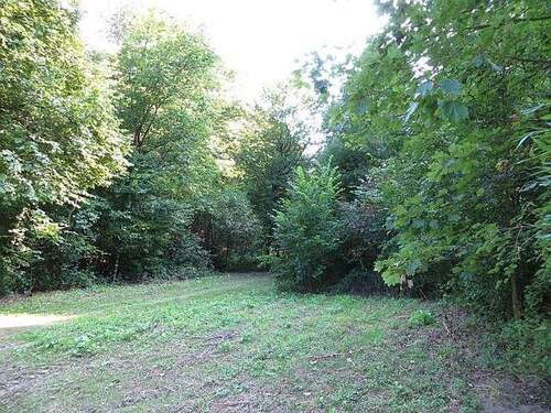 Unterer Bereich, Bach rechts - 