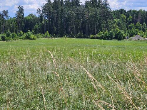 Ansicht Grundstück Süd.jpg - 