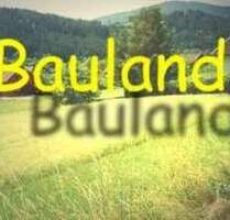 Grundstück im Herzen von Hillscheid