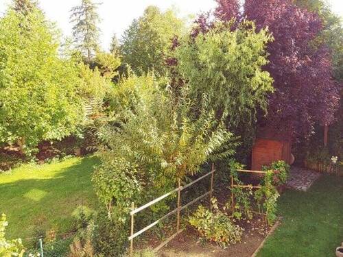 Bild 10 - 