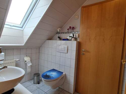 20250508_105405.jpg - 