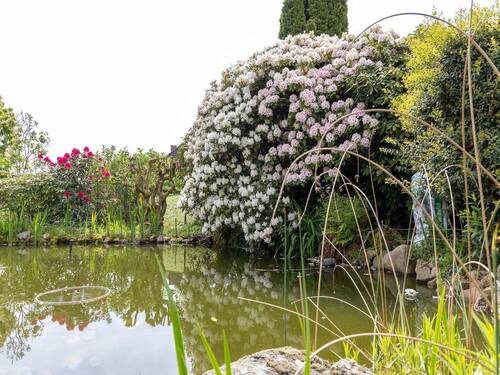 Gartenteich 1 - 