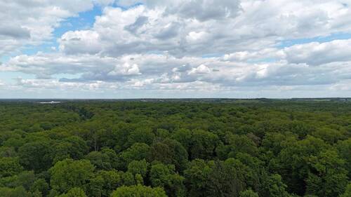 Drohnenbild / Natur pur - Einfamilienhaus mit 332,00 m² in Wolfsburg zum Kaufen