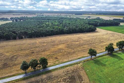 Luftaufnahme Frontalansicht - Auktion 18.9.2025 - 5,9 ha Forstliegenschaft - gepflegter Robinienbestand