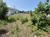 IMG_8265 - 