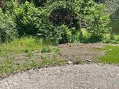 IMG_8268 - 