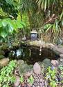 Teich - 