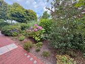Blick in den Vordergarten - 