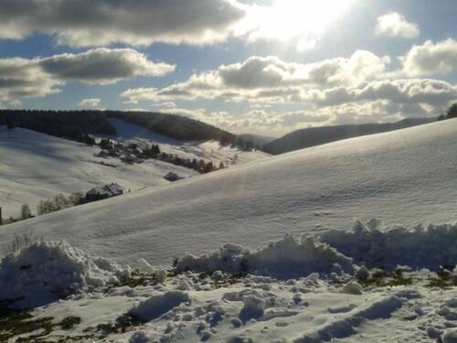 20131125_135805[1].jpg - 