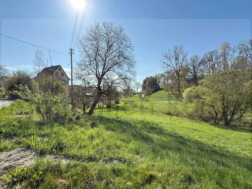 Wiese - Ehemaliges Mühlenanwesen mit mächtig viel Platz