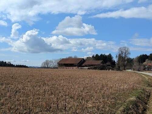 Blick auf das Anwesen - 