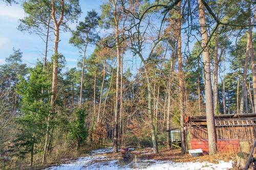 Waldblick hinter dem Grundstück - 