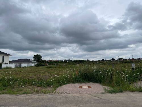 IMG_5809 - Grundstück in Hillesheim