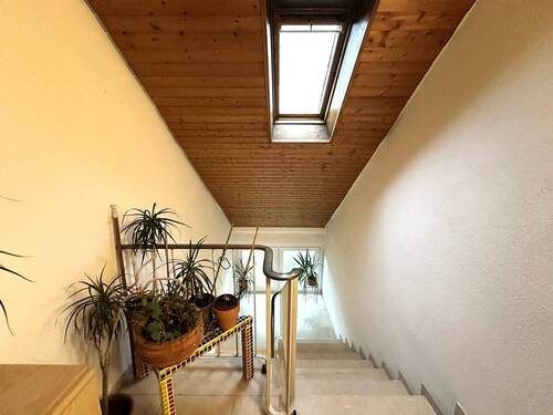 Weiter geht es in die ... - 