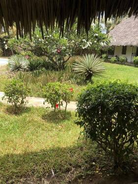 Bild 3 - 5 Zimmer Mehrfamilienhaus, Wohnhaus in Malindi