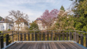Dachterrassenblick ins Grüne - 