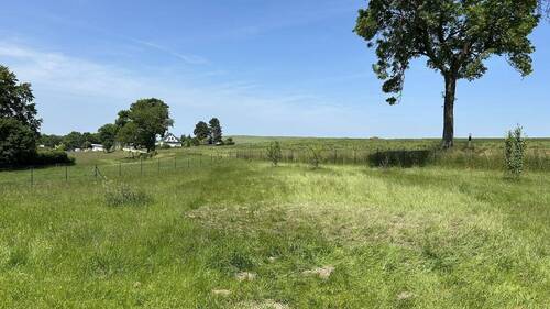 Große Wiese hinter dem Haus - 