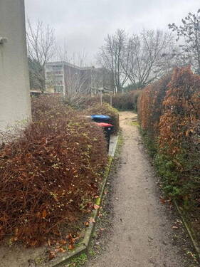 Garten - 