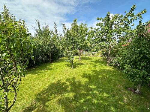 Eigenland/Grundstück - 