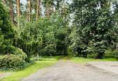 IMG_3350 - 