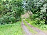 IMG_3351 - 