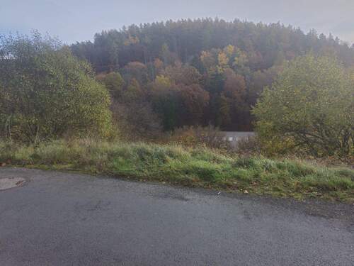 25270_Grundstück (5) - Grundstück zum Kaufen in Biedenkopf