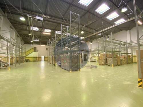 Folie2 - Halle zum Kaufen in Zeulenroda-Triebes