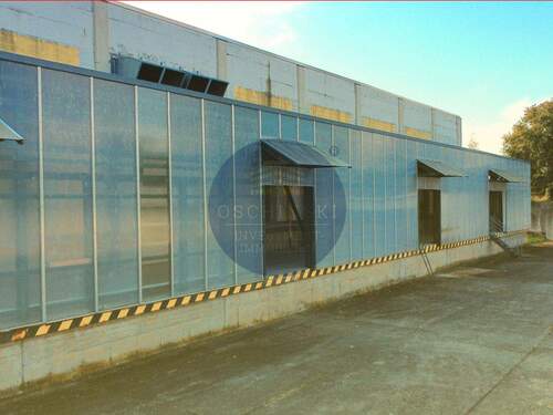 Folie3 - Halle in Zeulenroda-Triebes