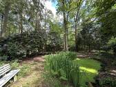 Teich - 