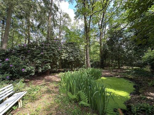 Teich - 