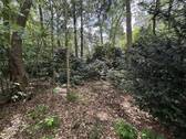 Garten 4 - 