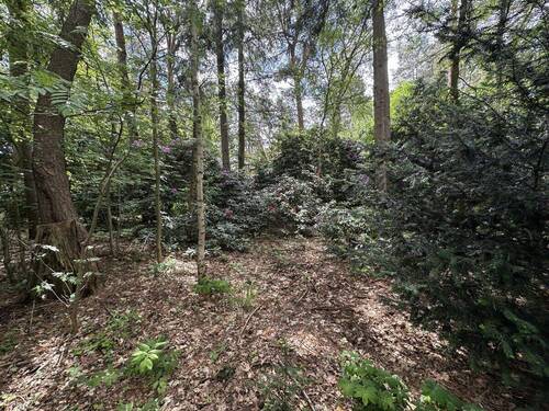 Garten 4 - 