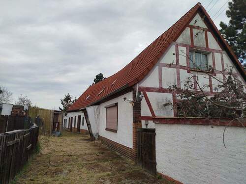 Ansicht - 5 Zimmer Mehrfamilienhaus, Wohnhaus zum Kaufen in Bad Düben