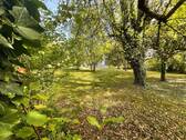 Außenansicht Garten - 6 Zimmer Einfamilienhaus zum Kaufen in Amberg