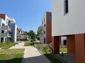 Begrünte Gemeinschaftsflächen - 2 Zimmer Terrassenwohnung in Winnenden