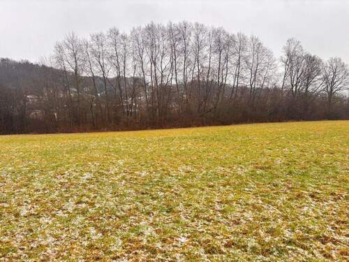 Bild 3 - Grundstück in Windeck