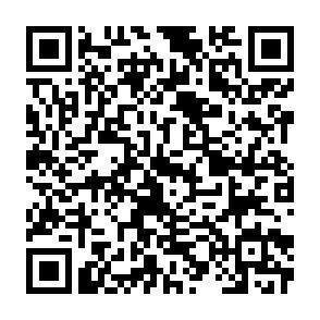 QR-Code - 