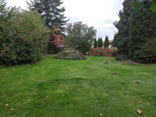 Ansicht - Einfamilienhausgrundstück in grüner Lage in Grimma OT Böhlen