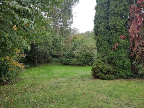 Ansicht - Grundstück in Grimma zum Kaufen