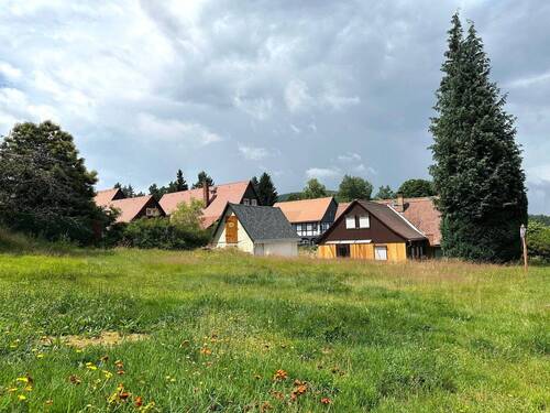 Blick vom Garten - Einfamilienhaus mit 100,00 m² in Jonsdorf zum Kaufen