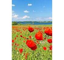 Seltene Gelegenheit mit eigenem B-Plan - Nordwestmecklenburg - Landkreis - Dassow Kaltenhof