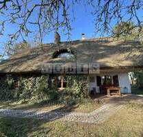 Reetdach-Idyll am Oderhaff - Ruhe und Natur pur - PROVISIONSFREI - Leopoldshagen