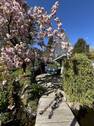 Bild 11 - 