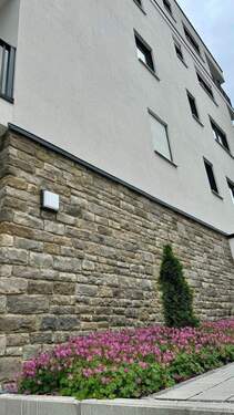 20250603 BUL EF (2).jpg - 